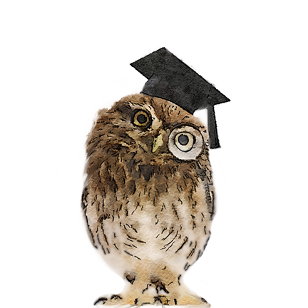 Claremont Tutoring Owl