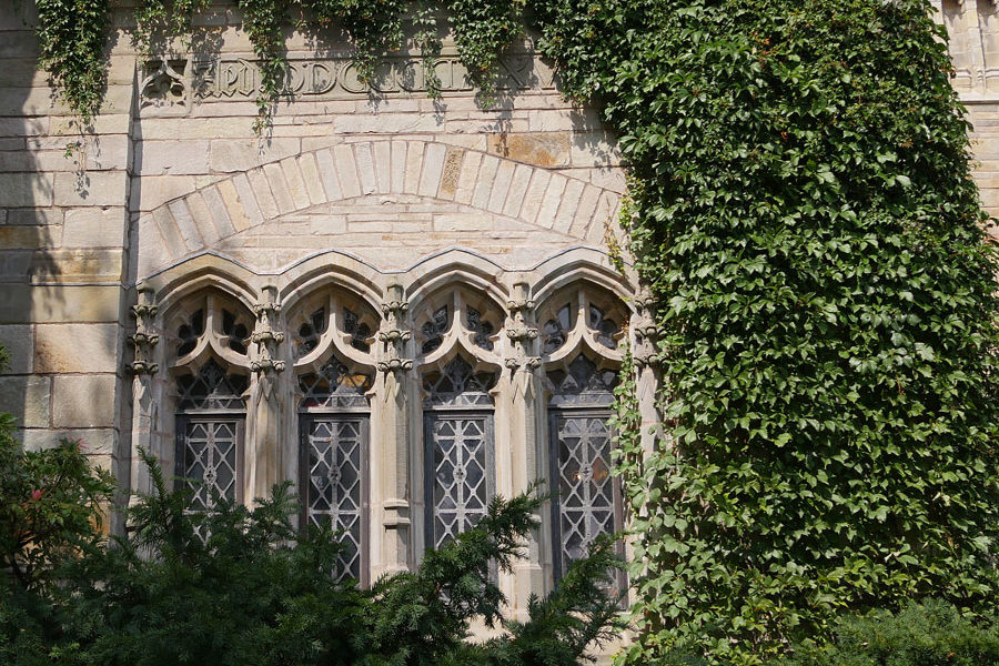 Yale windows