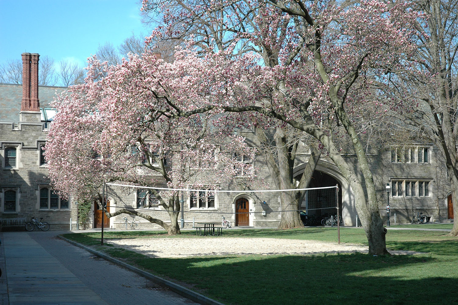 Princeton Spring